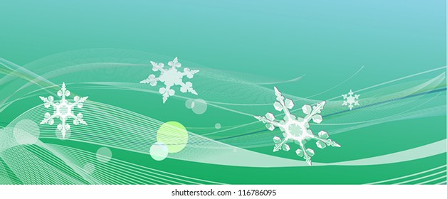 green background with snowflakes