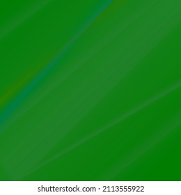 green background with soft lines