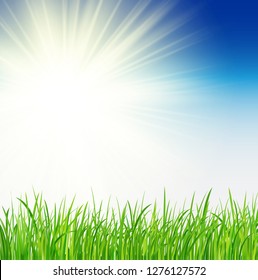 Green background with sun and grass, vector spring background - Vector. Sunny natural with vector sun and grass. - Vector