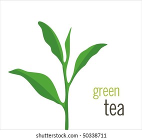 Green background with green tea leaves