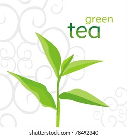 Green background with green tea leaves