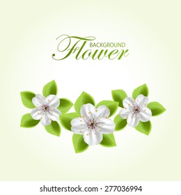Green background with three white flowers and leaves, illustration.