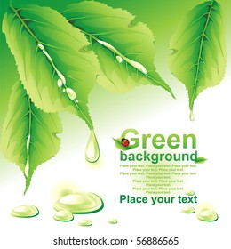 Green background. (vector illustration)