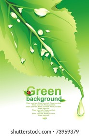 Green background. (vector illustration)