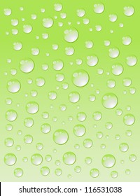 Green background with water drops