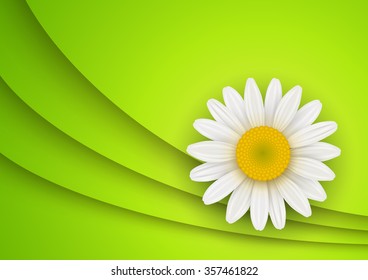 Fondo verde con flor de manzanilla blanca, ilustración vectorial