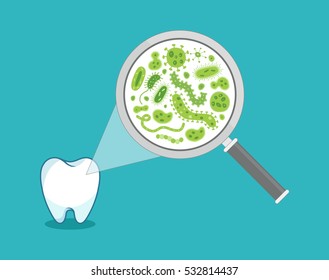 Green bacteria on a white tooth being viewed on a magnifying glass - vector illustration