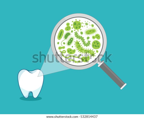 Green bacteria on a white tooth being\
viewed on a magnifying glass - vector\
illustration