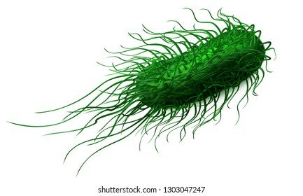 2,240 Salmonella Vector Images, Stock Photos & Vectors | Shutterstock