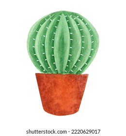 Green Ball Cactus hand painted with watercolor isolated on white background, cute succulent plant