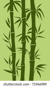 green bamboo