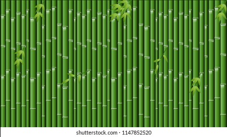 Green Bamboo Background