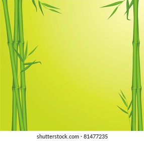Green bamboo. Background for card. Vector