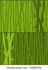 Green Bamboo Background - Vector