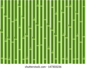 Green bamboo background  ,vector illustration