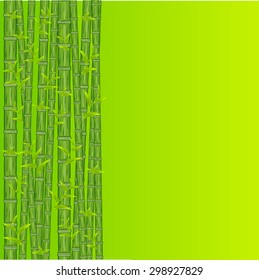 Green bamboo background. Vector illustration. Freehand drawing