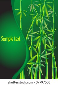Green bamboo background - vector illustration