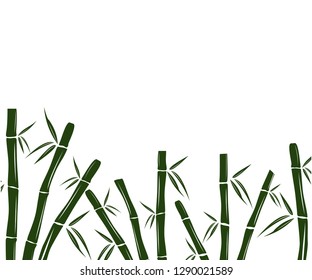 green bamboo branch and leaf vector background design template