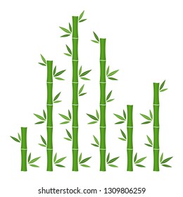 Green bamboo branches and leaves. Vector illustration. Bamboo stems. Bamboo icon.