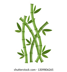 Green bamboo branches and leaves. Vector illustration. Bamboo stems. Bamboo icon.