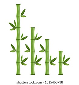 Green bamboo branches and leaves. Vector illustration. Bamboo stems. Bamboo icon.