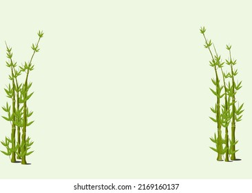 Grüner Bambus Äste und Blätter. Vektorgrafik.