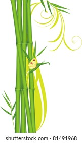 Green bamboo with butterfly. Vector