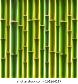 Green bamboo fence background, vector image. 