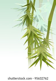 Green bamboo in a fog.