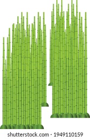 green bamboo forest background design