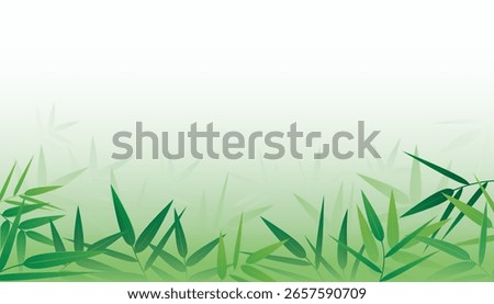 Green bamboo forest background. The natural backgrounds
