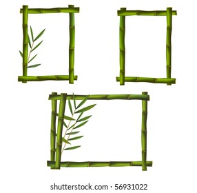 Green bamboo frames. Vector.