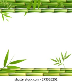 Green Bamboo Grass Isolated on White Background