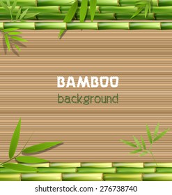 Green bamboo grass on brown background