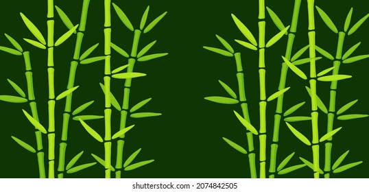 Green Bamboo Grass on Dark Background. Hand Drawn oriental chinese plant vector illustration. Template with copy space