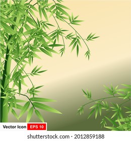 Green bamboo grove isolated on white background
