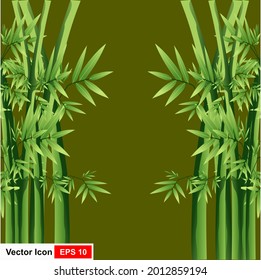 Green bamboo grove isolated on white background