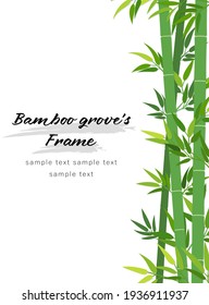 green bamboo grove's vertical frame