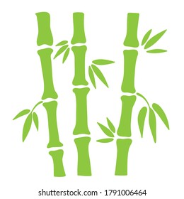 Green bamboo hand drawn element for card design on white, stock vector illustration