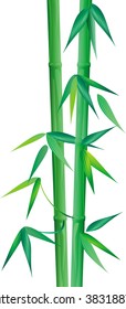 green bamboo handmade vector on white background