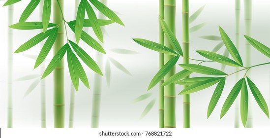 Green bamboo horizontal background with stems and leaves on white. Vector illustration