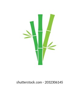 Green bamboo icon design template illustration