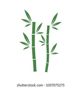 green bamboo icon in trendy flat style 