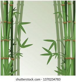 Green bamboo japanese.vector