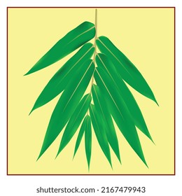 grünes Bambusblatt und Hintergrund