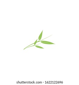Green bamboo leaf isolated on white background Vector
