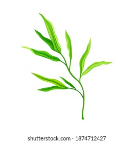 Green Bamboo Leaf Isolated on White Background Vector Illustration