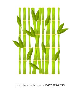 Green Bamboo with Leave. Vector illustration
