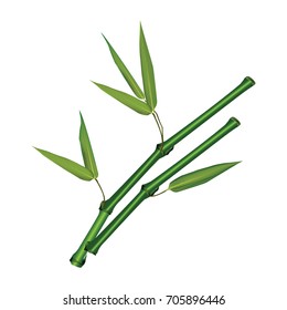  green bamboo leaves