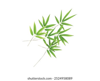 Green Bamboo Leaves and Branch Isolated on White Background. Green Bamboo Leaves and Branch Illustration Isolated on White Background | Bamboo Branch Illustration with Green Leaves Isolated